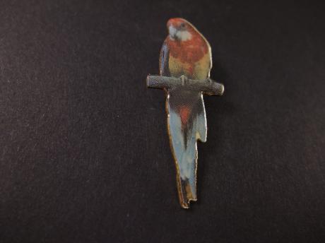 Eastern rosellas middelgrote Papegaai,